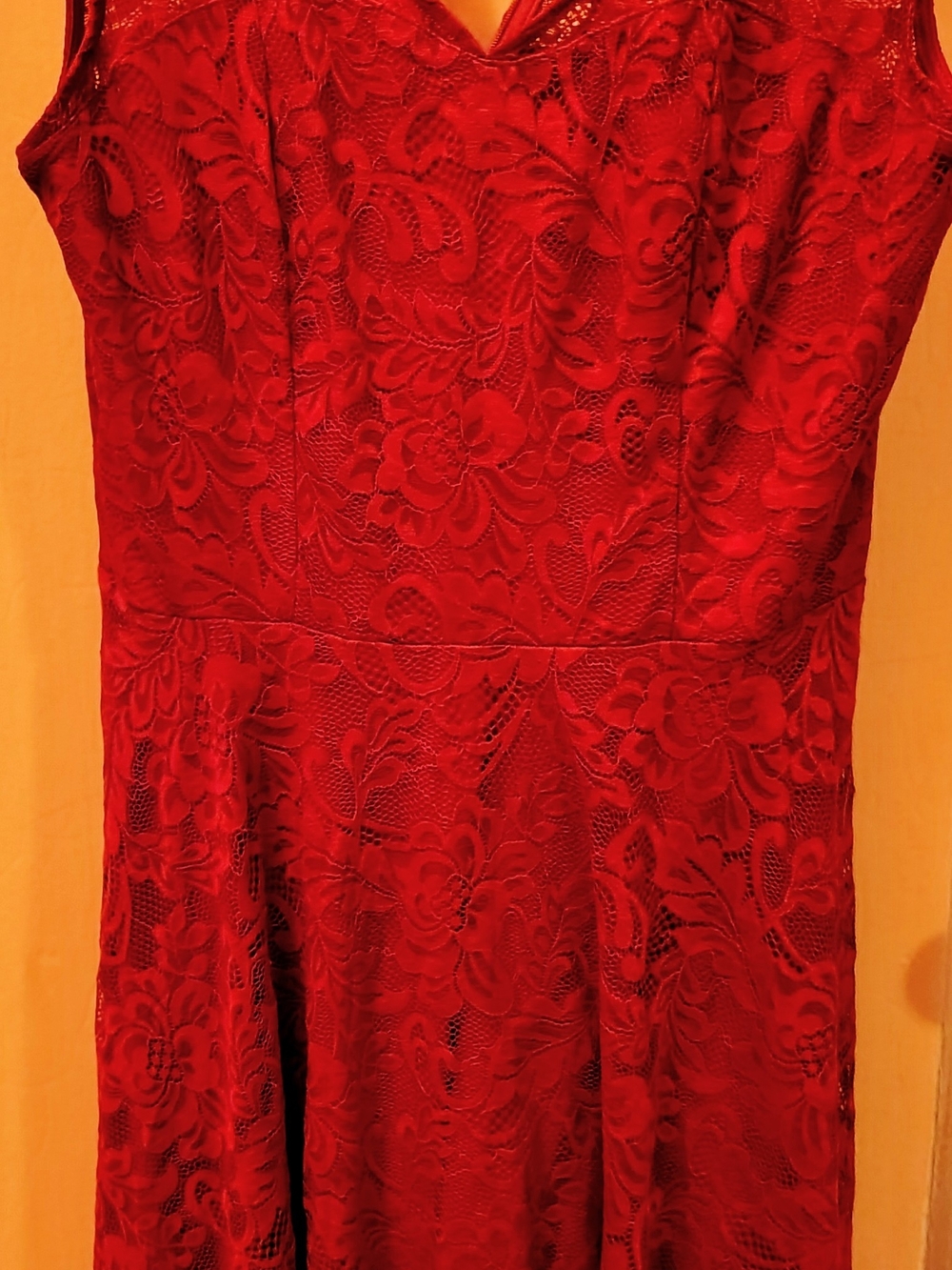 MeetJen Elegant Red Lace Fit & Flare Dress
